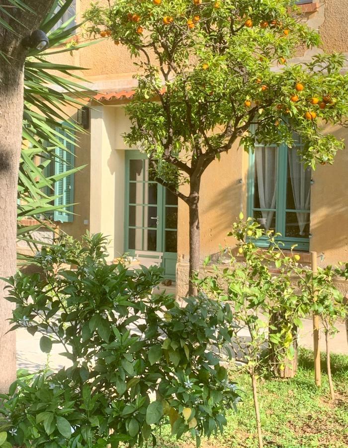 La Villa Des Amandiers Hyères Exteriör bild