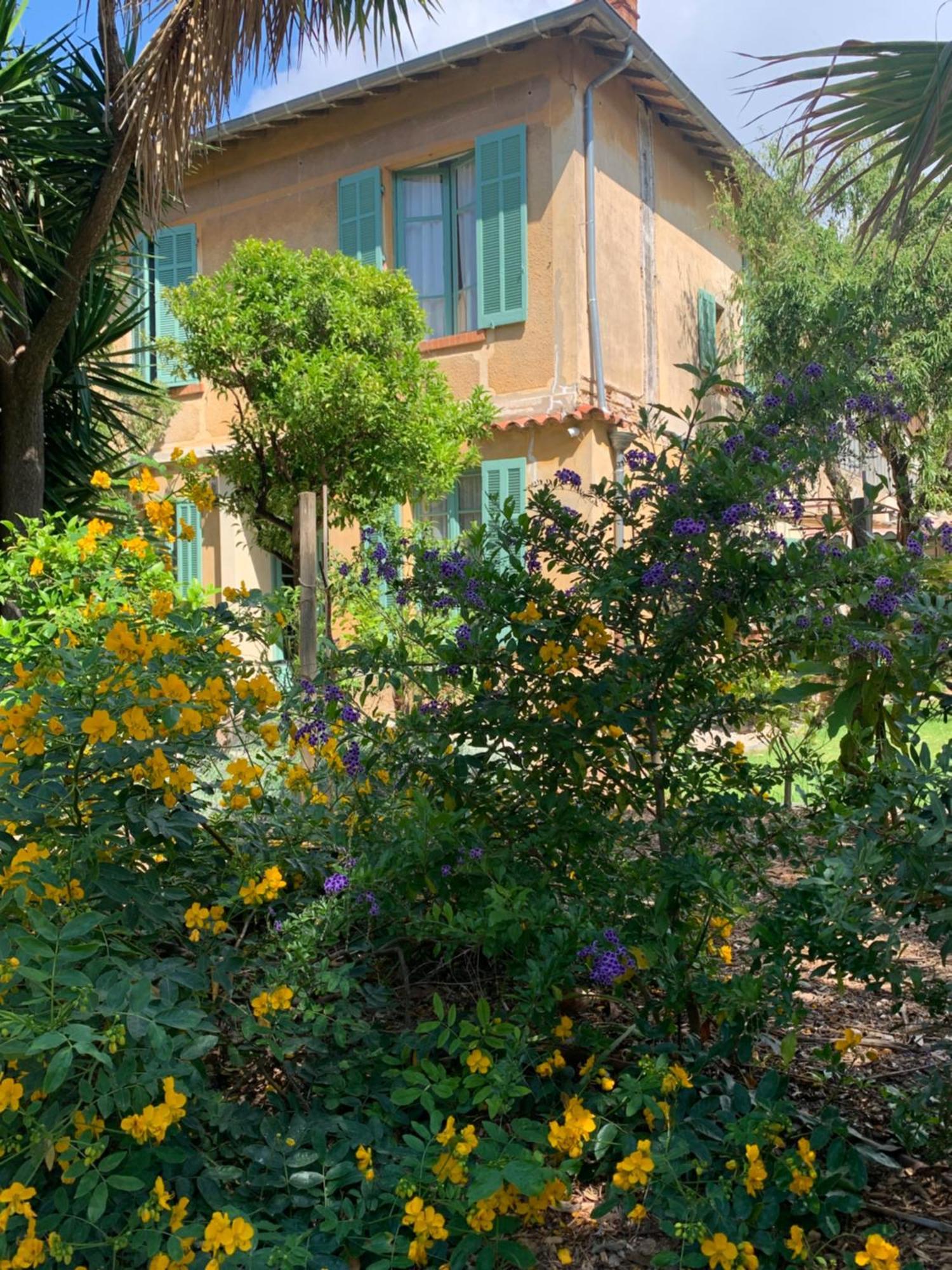 La Villa Des Amandiers Hyères Exteriör bild